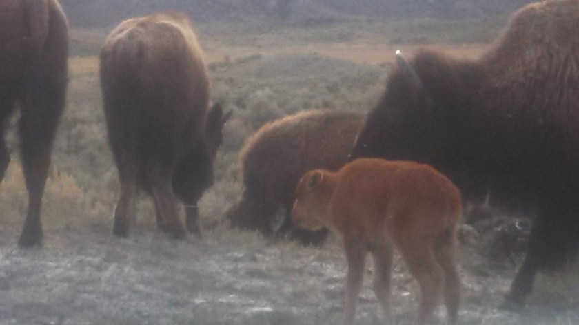 IMG_20130501_080000_728