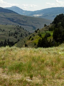The Hot Springs are in the background
