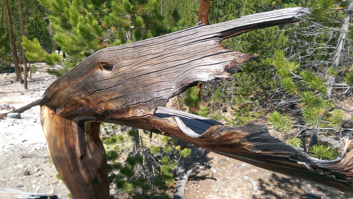 The Best Places Ever For Forrest Fenn’s&nbsp;Treasure